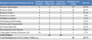 Enterprise Goodwill Attributes