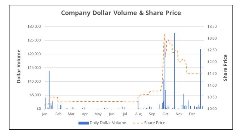 Sec Challenge Of Reverse-Merger Share Price